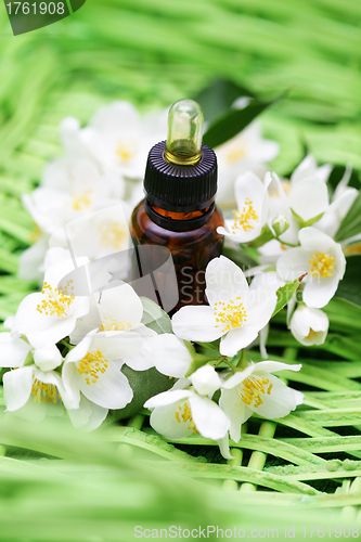 Image of jasmin essential oil