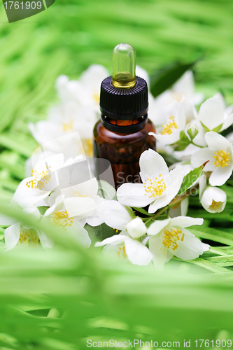 Image of jasmin essential oil