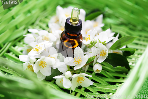 Image of jasmin essential oil