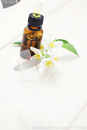 Image of jasmin essential oil