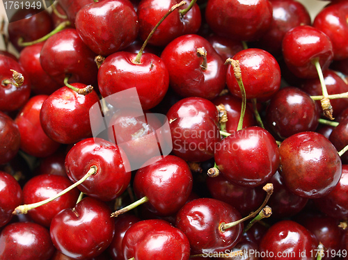 Image of Cherry