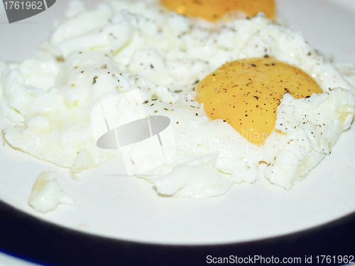 Image of Fried egg