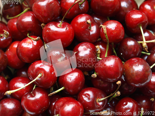 Image of Cherry