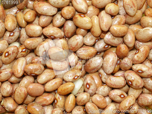 Image of Beans salad
