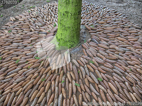 Image of Artistic circle of cones