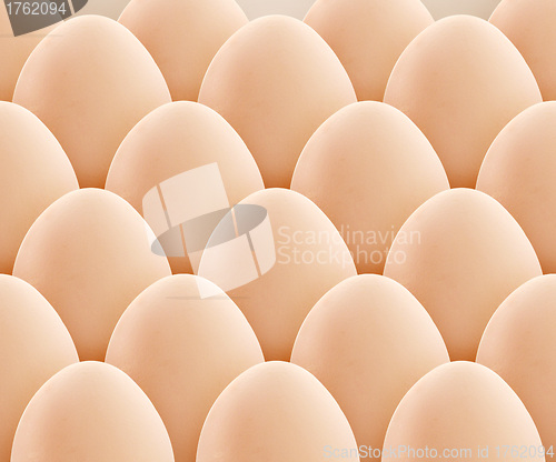 Image of Egg