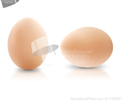 Image of Egg