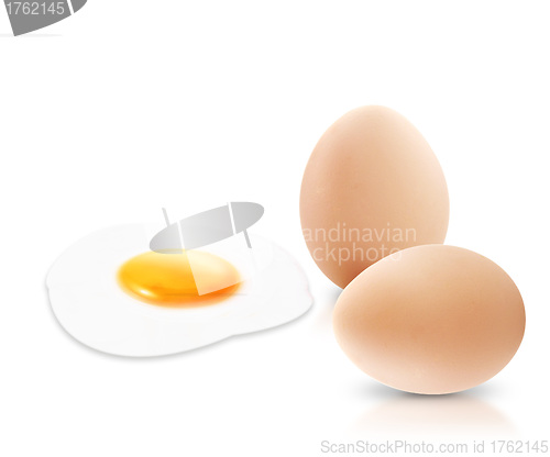 Image of Egg