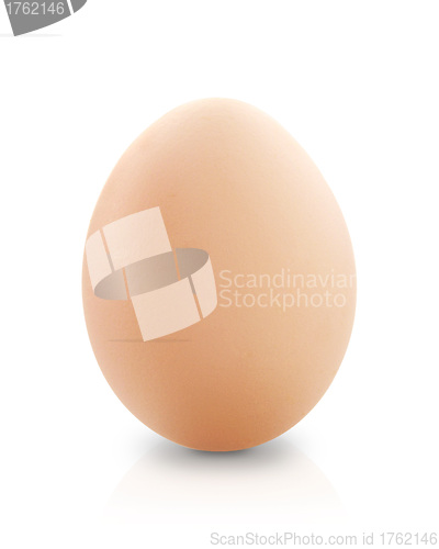 Image of Egg