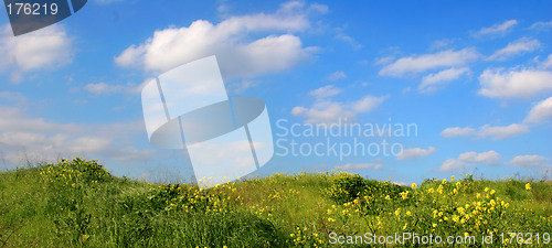 Image of Background Of Sky And Grass