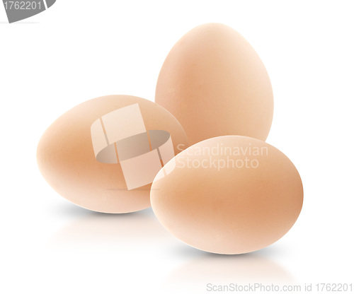 Image of Egg