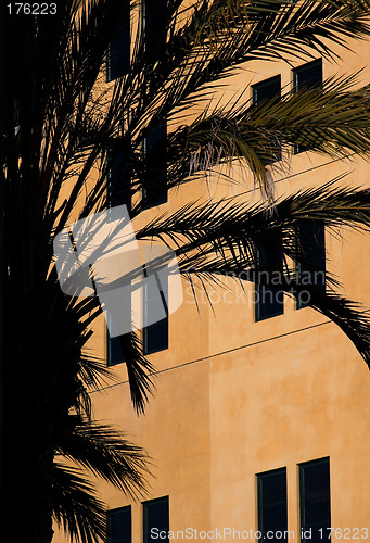 Image of House and a palm tree