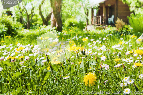 Image of lawn with flowers in the garden 