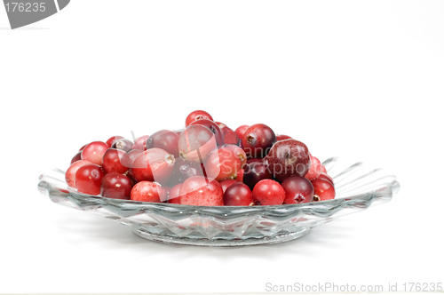 Image of Cranberry