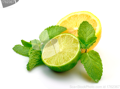 Image of Fresh Lemon, Lime and Mint