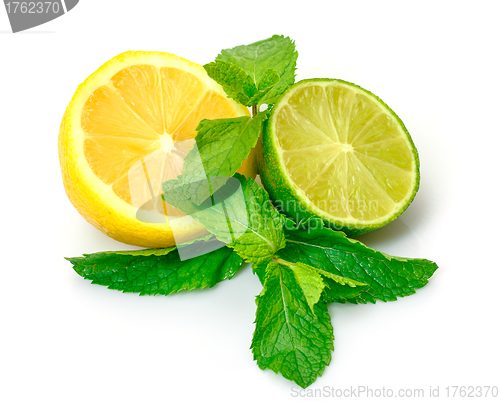 Image of Fresh Lemon, Lime and Mint
