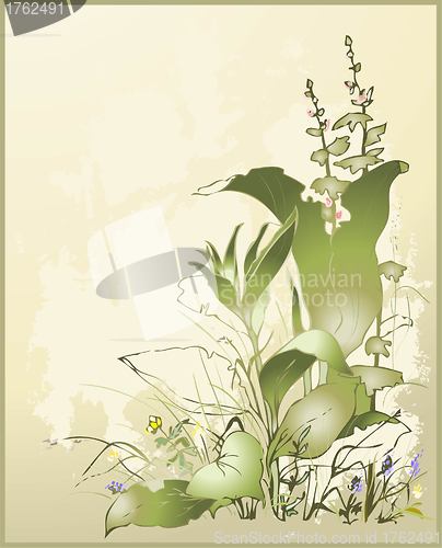 Image of Greeting card with a wild flower and a grass. Illustration wild flower and wild grass.