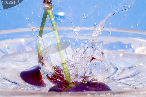 Image of Splash scherry to water