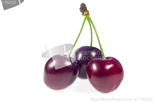 Image of Cherry