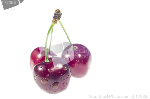 Image of Cherry
