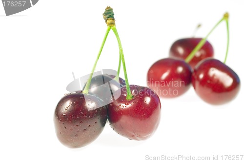 Image of Cherry