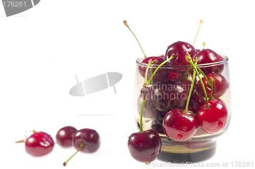 Image of Cherry