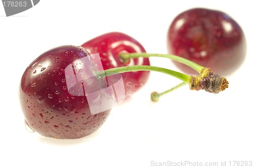 Image of Cherry