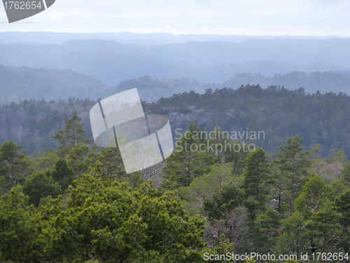 Image of view over forest with cloudy sky