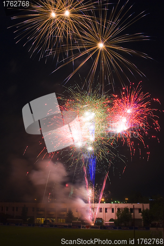 Image of Fireworks flower