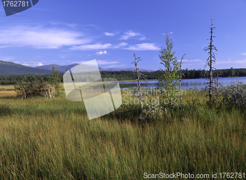 Image of Nature Landscape