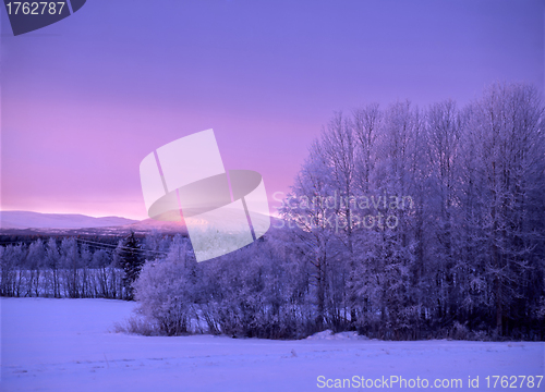 Image of winter landscape