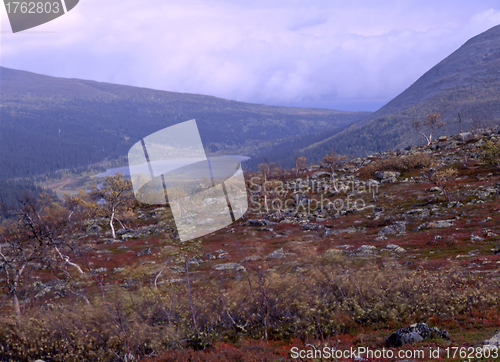 Image of Landscape