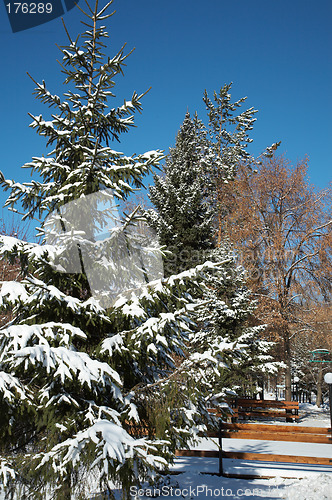 Image of Early snow
