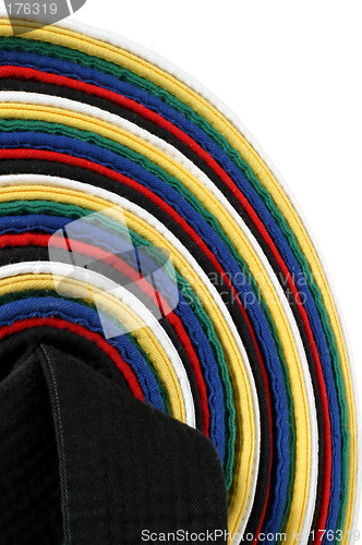 Image of Martial Arts Belts - vertical