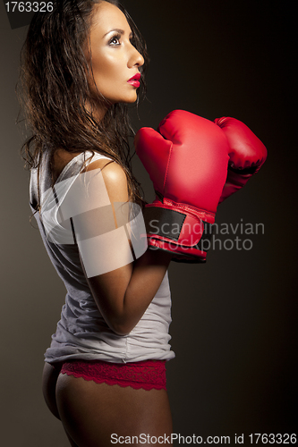 Image of Sexy woman boxer pausing during training