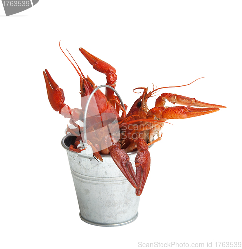 Image of Tin bucket of boiled crawfish