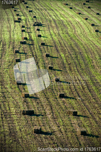 Image of Bale of straw