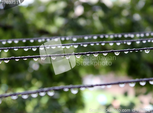 Image of Water drops