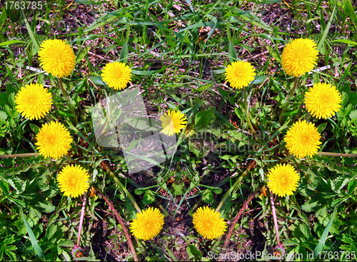 Image of The heart made of yellow dandelions on green grass