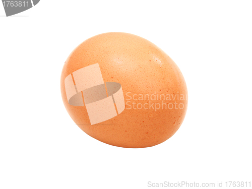 Image of close up of egg on white background 