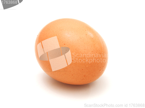 Image of close up of egg on white background 
