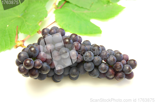 Image of Blue grape with green leaf, isolated on white background