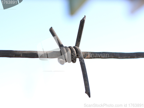 Image of Barbed wire