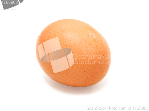 Image of close up of egg on white background 