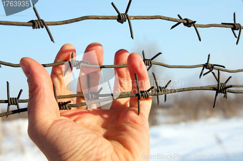 Image of Hand of prison and sky background