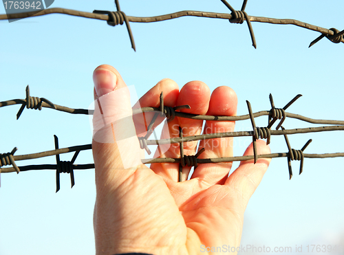 Image of Hand of prison and sky background