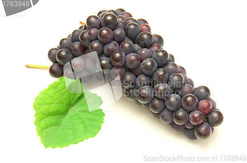 Image of Blue grape with green leaf, isolated on white background