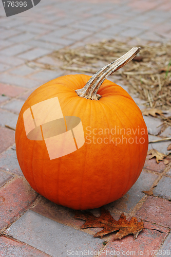 Image of Bright orange pumpkin