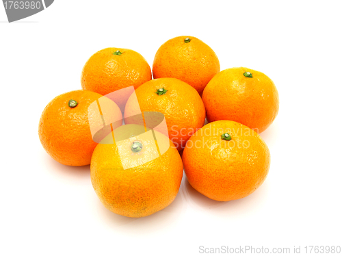 Image of Group a tangerine 