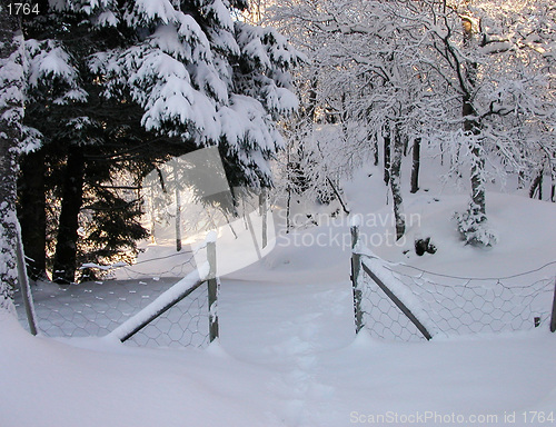 Image of Winter gate